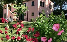 La Visciola - Country House del Conero